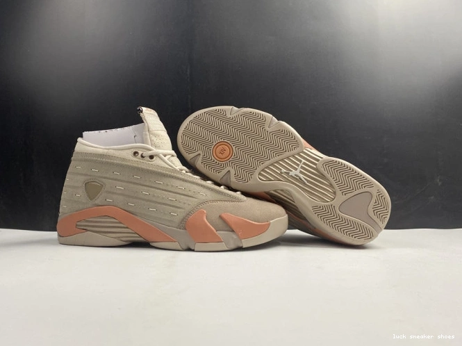 Rep LUCY Jordan Low 14 DC9857-200 Terra Clot AIR Blush Retro 0728